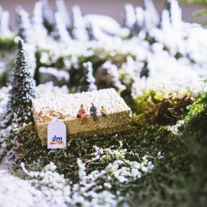 Zelina world spolupráca s Red Bull Organic